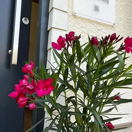 Διαμέρισμα Bergfeeling *