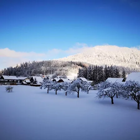 Διαμέρισμα Bergfeeling