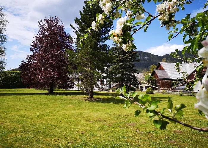 Appartamento Bergfeeling Bad Mitterndorf