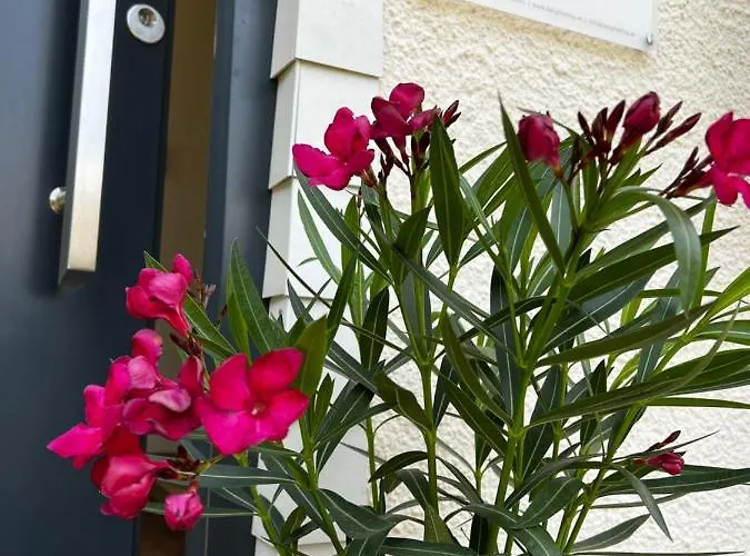 Lägenhet Bergfeeling *