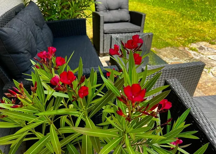 Апартаменты Bergfeeling