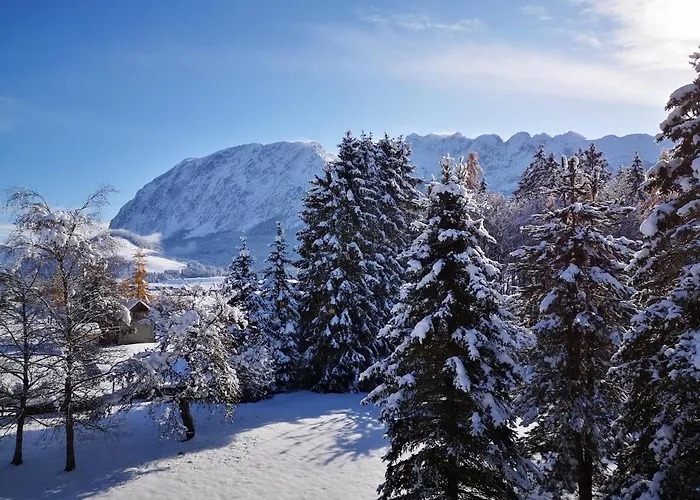 Апартаменты Bergfeeling *