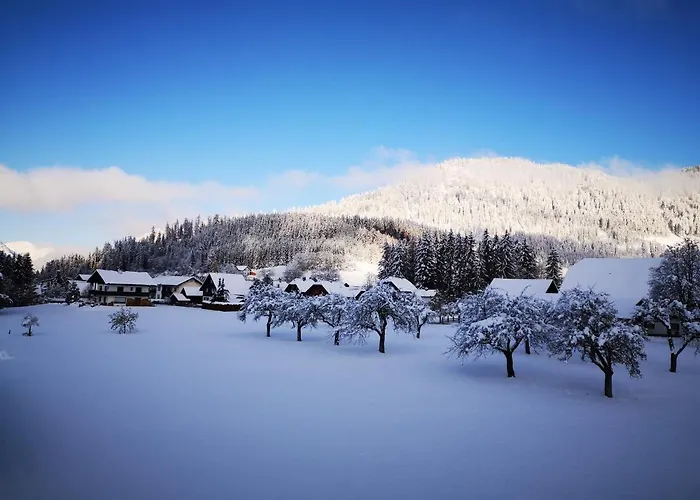 Lägenhet Bergfeeling